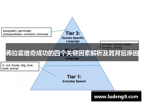 弗拉霍维奇成功的四个关键因素解析及其背后原因