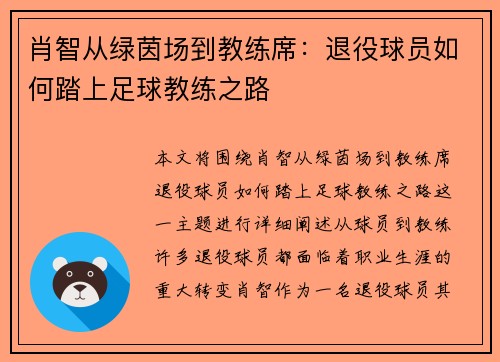 肖智从绿茵场到教练席：退役球员如何踏上足球教练之路