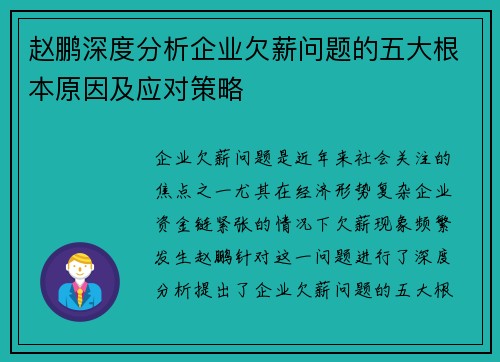 赵鹏深度分析企业欠薪问题的五大根本原因及应对策略