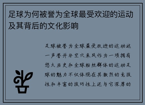 足球为何被誉为全球最受欢迎的运动及其背后的文化影响